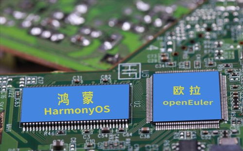 中国股市7只华为欧拉龙头股全解析 机遇与潜力并存